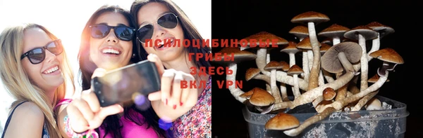 а пвп мука Арсеньев