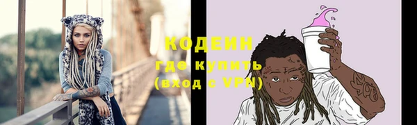 ГАЛЛЮЦИНОГЕННЫЕ ГРИБЫ Аркадак