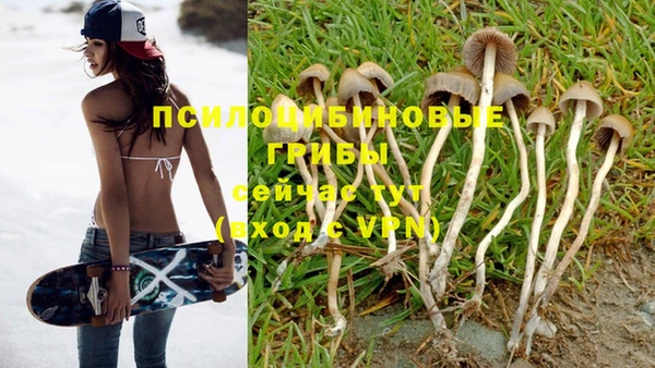 а пвп мука Арсеньев