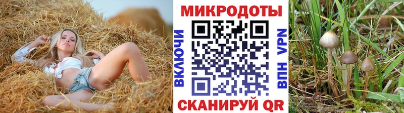Галлюциногенные грибы ЛСД  Игра 